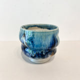 湯呑み / バージニア・クリセヴィシュート