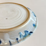 お皿 / バージニア・クリセヴィシュート