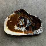 手びねり皿C / バージニア・クリセヴィシュート