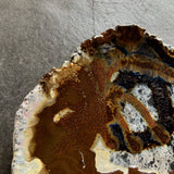 手びねり皿C / バージニア・クリセヴィシュート