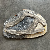 手びねり皿C / バージニア・クリセヴィシュート