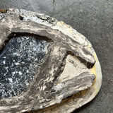 手びねり皿C / バージニア・クリセヴィシュート