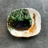 手びねり皿B / バージニア・クリセヴィシュート