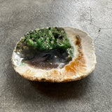 手びねり皿B / バージニア・クリセヴィシュート