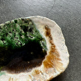 手びねり皿B / バージニア・クリセヴィシュート