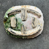 手びねり皿B / バージニア・クリセヴィシュート