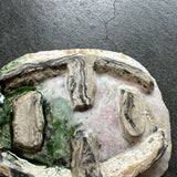 手びねり皿B / バージニア・クリセヴィシュート