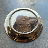 平皿F / バージニア・クリセヴィシュート