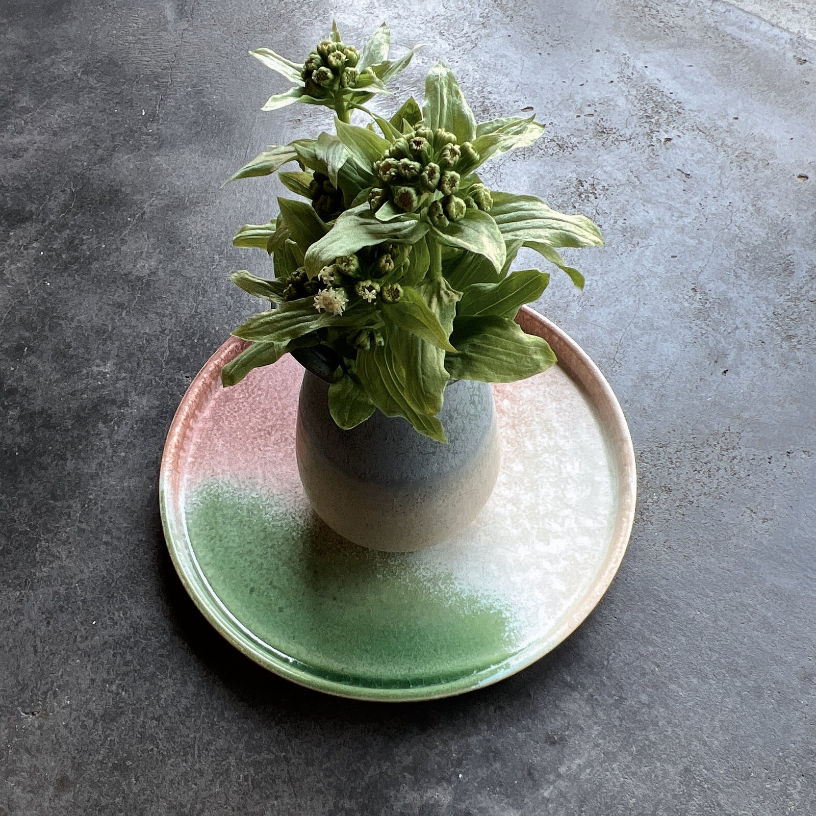 切立皿 / 25cm E – Gallery John -Kamakura-